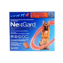 Nexgard Spectra 30.1 a 60Kg