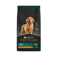 Pro Plan Cachorro Razas Medianas Complete 15Kg